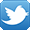 Logo de Twitter en Sergio Town Multimedia
